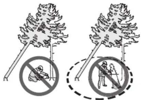 HUSQVARNA 540i XP G - So befreien Sie einen eingeklemmten Baum - 2