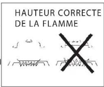 DCS BGC132 - HAUTEUR DE LA FLAMME - 2