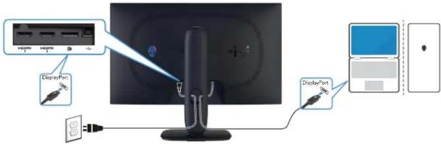 ALIENWARE AW2725DM - Branchement du câble DisplayPort (DP à DP) - 1
