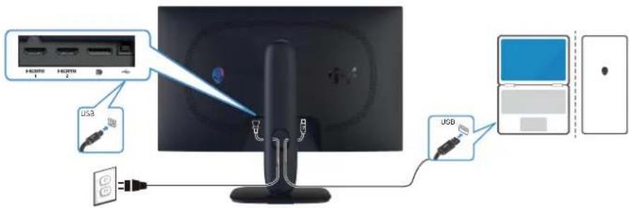 ALIENWARE AW2725DM - Branchement du câble USB type B (type B à type A) - 1