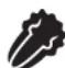 FOODSAVER V4840 - IMPORTANT: - 1