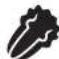 FOODSAVER V4840 - IMPORTANT: - 1