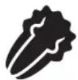 FOODSAVER V4440 - IMPORTANTE: - 1