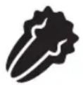 FOODSAVER V4440 - IMPORTANT: - 1