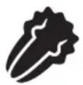 FOODSAVER V4440 - IMPORTANT : - 1