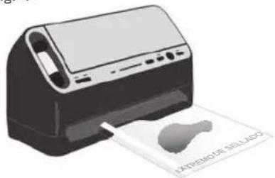 FOODSAVER V4440 - Hacer una bolsa FoodSaver® - 5