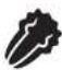 FOODSAVER FM5200 - IMPORTANT: - 1