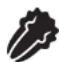 FOODSAVER FM5200 - IMPORTANTE: - 1