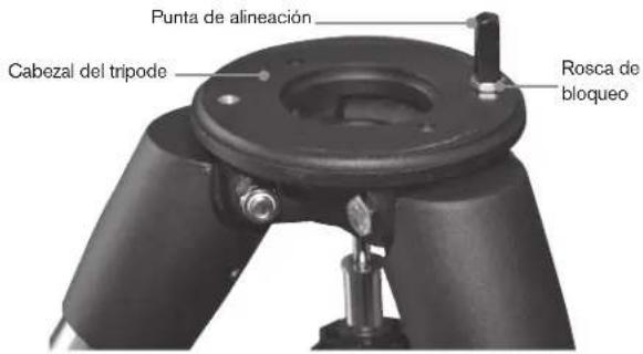 CELESTRON Advanced VX 7 Maksutov Cassegrain - Fijar el soporte ecuatorial - 2