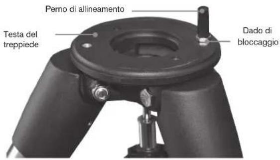 CELESTRON Advanced VX 925 EdgeHD - Collegare la montatura equatoriale - 2
