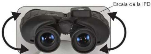 CELESTRON Oceana 7x50 - AJUSTE DE LA DISTANCIA INTERPUPILAR (O POR SUS SIGLAS EN INGLÉS IPD) - 1