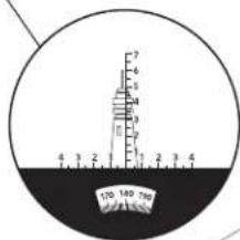 CELESTRON Oceana 7x50 - Angolo di visione - 4