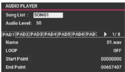 AUDIO PLAYER Song List : SONG1 Audio Level: 50 PAD1 PAD2 PAD3 PAD4 PAD5 PAD6 PAD: 1/8 Name 01.wav LOOP OFF Start Point 00000000 End Point 00657407