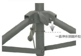 一直伸长到圆环处