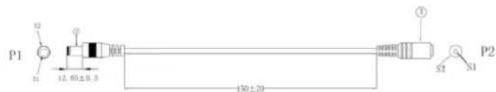 P1 12.60±0.3 130±20 P2 S2 S1