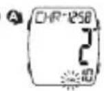 ICE Watch Digit Boliday - TEMPO DI GIRO - 4