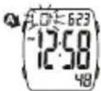 ICE Watch Digit Boliday - ZEITEINSTELLUNG - 8