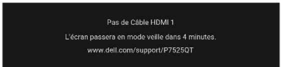 DELL Pro 75 Plus 4 P7525QT - Test automatique - 3
