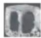 HAIER HFR79F19DFGB - Ice-making function - 3