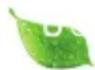 HAIER HFR79F19DFGB - AVVISO - 2