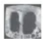 HAIER HFR79F19DFGB - Ice-making function - 1