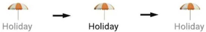HAIER HFR79F19DFGB - Holiday function - 1