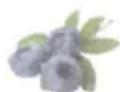 HAIER HFR79F19DFGB - Funzione My Zone - 1