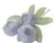 HAIER HFR79F19DFGB - Fonction Fruit&Veg.: - 1
