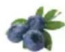 HAIER HFR79F19DFGB - Función Fruit&amp;Veg.: - 2