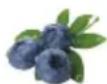 HAIER HFR79F19DFGB - Fonction Fruit&Veg.: - 4