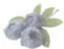 HAIER HFR79F19DFGB - Functia Fruit&amp;Veg.: - 1