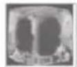 HAIER HFR79F19DFGB - Функция за правене на лед - 3