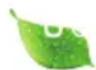 HAIER HFR79F19DFGB - AVVISO - 1