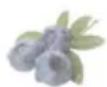 HAIER HFR79F19DFGB - Función Fruit&amp;Veg.: - 3