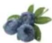 HAIER HFR79F19DFGB - Funkcja Fruit&amp;Veg: - 2