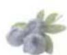 HAIER HFR79F19DFGB - Λειτουργία Fruit&amp;Veg.: - 1