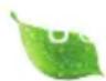 HAIER HFR79F19DFGB - HINWEIS - 2