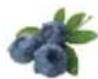 HAIER HFR79F19DFGB - Λειτουργία Fruit&amp;Veg.: - 5