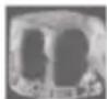 HAIER HFR79F19DFGB - Eisherstellungsfunktion - 2