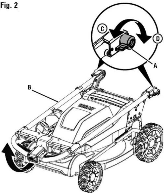 Fig. 2 A B C D