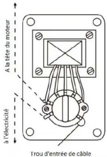 Melchioni MF 2215AS - INSTALLATION DU RÉGULATEUR DE VITESSE - 1