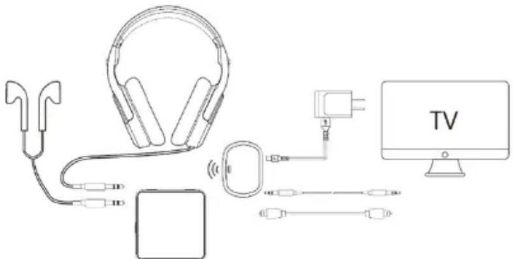 Irradio IR-BETA PRO - COMMISSIONING AND FIRST START-UP - 1