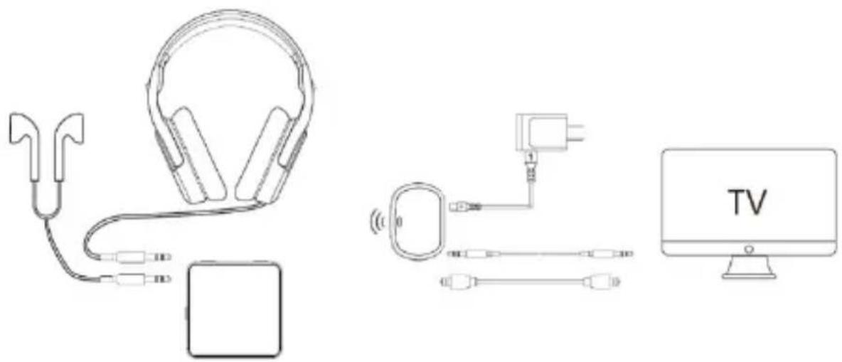 Irradio IR-BETA PRO - INBETRIEBNAHME UND ERSTINBETRIEBNAHME - 1