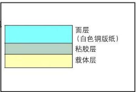 KYOCERA TASKalfa 6551ci - 投影胶片 - 2