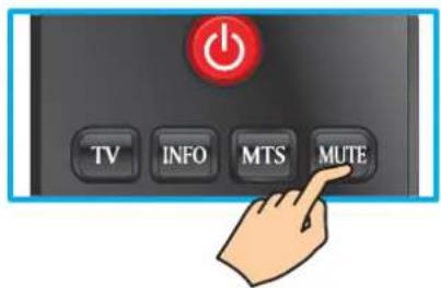 TV INFO MTS MUTE