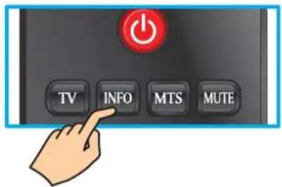 TV INFO MTS MUTE