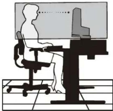NEC AccuSync AS172 - CORRECT PLACEMENT AND ADJUSTMENT OF THE MONITOR CAN REDUCE EYE, SHOULDER AND NECK FATIGUE. CHECK THE FOLLOWING WHEN YOU POSITION THE MONITOR: - 2