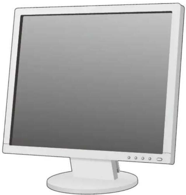 NEC AccuSync AS193i - AccuSync AS193i - 1