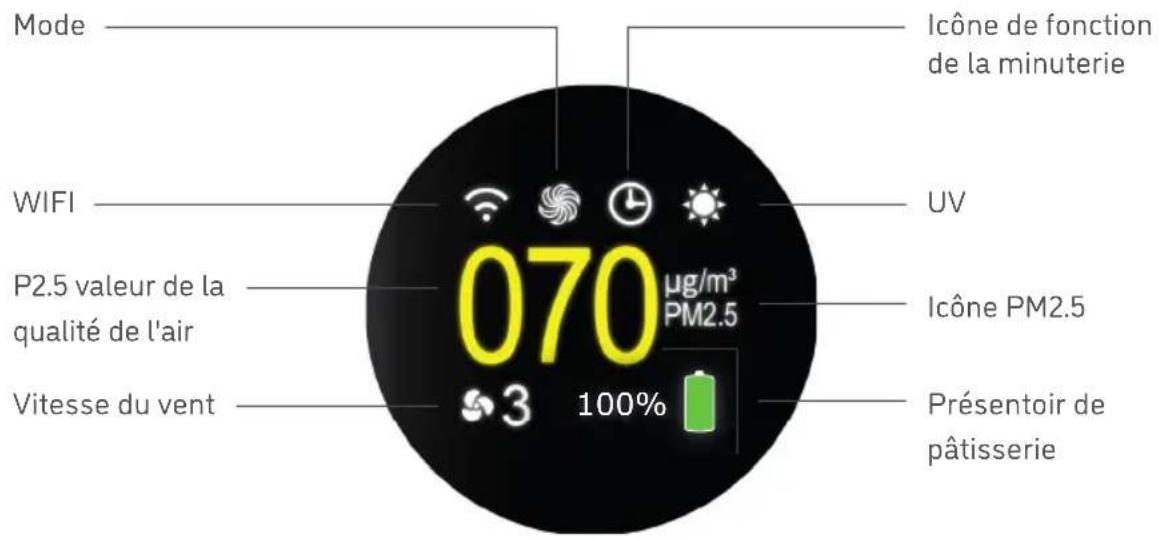 Djive Flowmate ARC Portable - INDICATEURS LED - 1