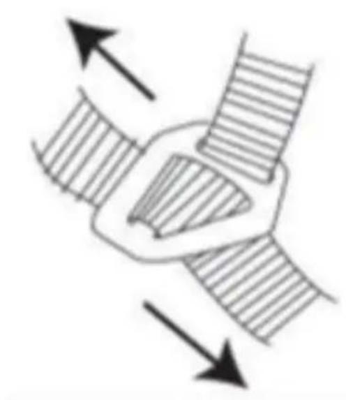 CECOTEC BrainGuard Flash S-M - PECES I COMPONENTS - 1